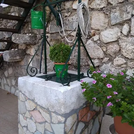 Dimitra's Great View